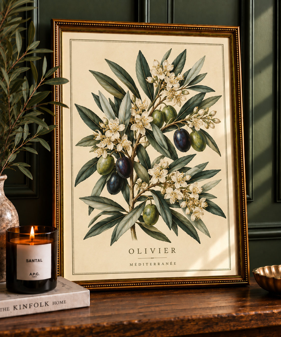 Olivier Mediterranean olive botanical print in ornate gold frame