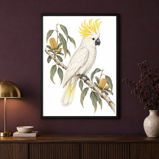 Citrus Crest – Vintage Cockatoo Bird Print displayed in a black frame on a dark interior wall