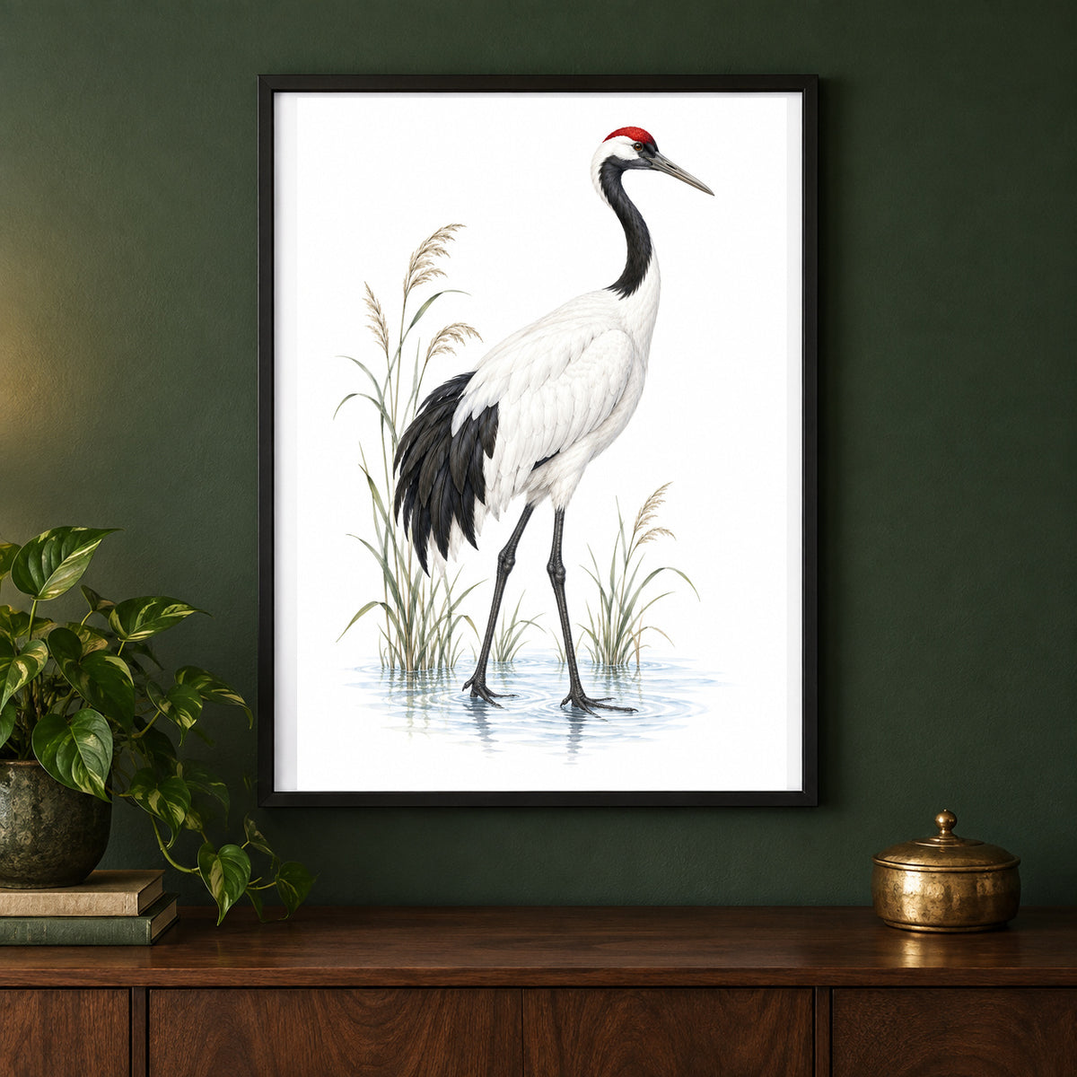 Crowned in Crimson – Vintage Crane Bird Print displayed in a black frame on a dark interior wall