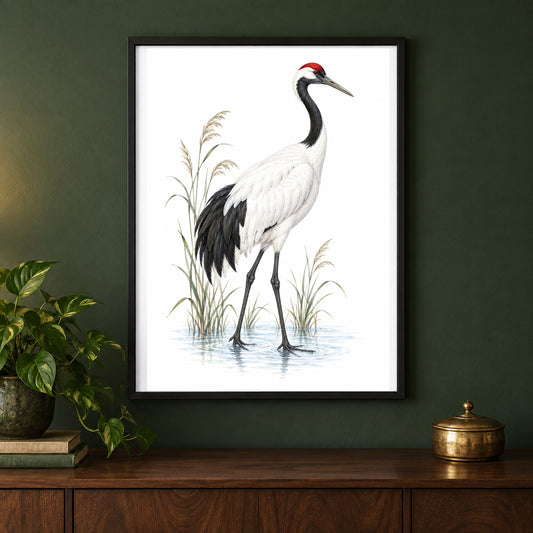 Crowned in Crimson – Vintage Crane Bird Print displayed in a black frame on a dark interior wall