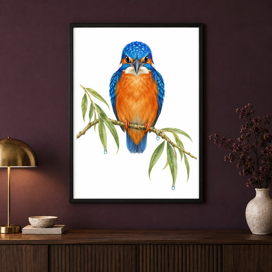 Electric Gaze – Vintage Kingfisher Bird Print displayed in a black frame on a dark interior wall