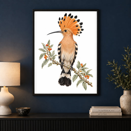 Firework Crown – Vintage Hoopoe Bird Print displayed in a black frame on a dark interior wall