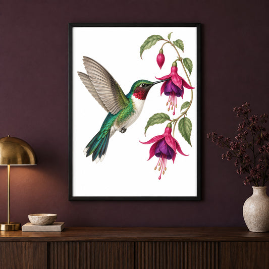 Ruby Rush – Vintage Hummingbird Bird Print displayed in a black frame on a dark interior wall