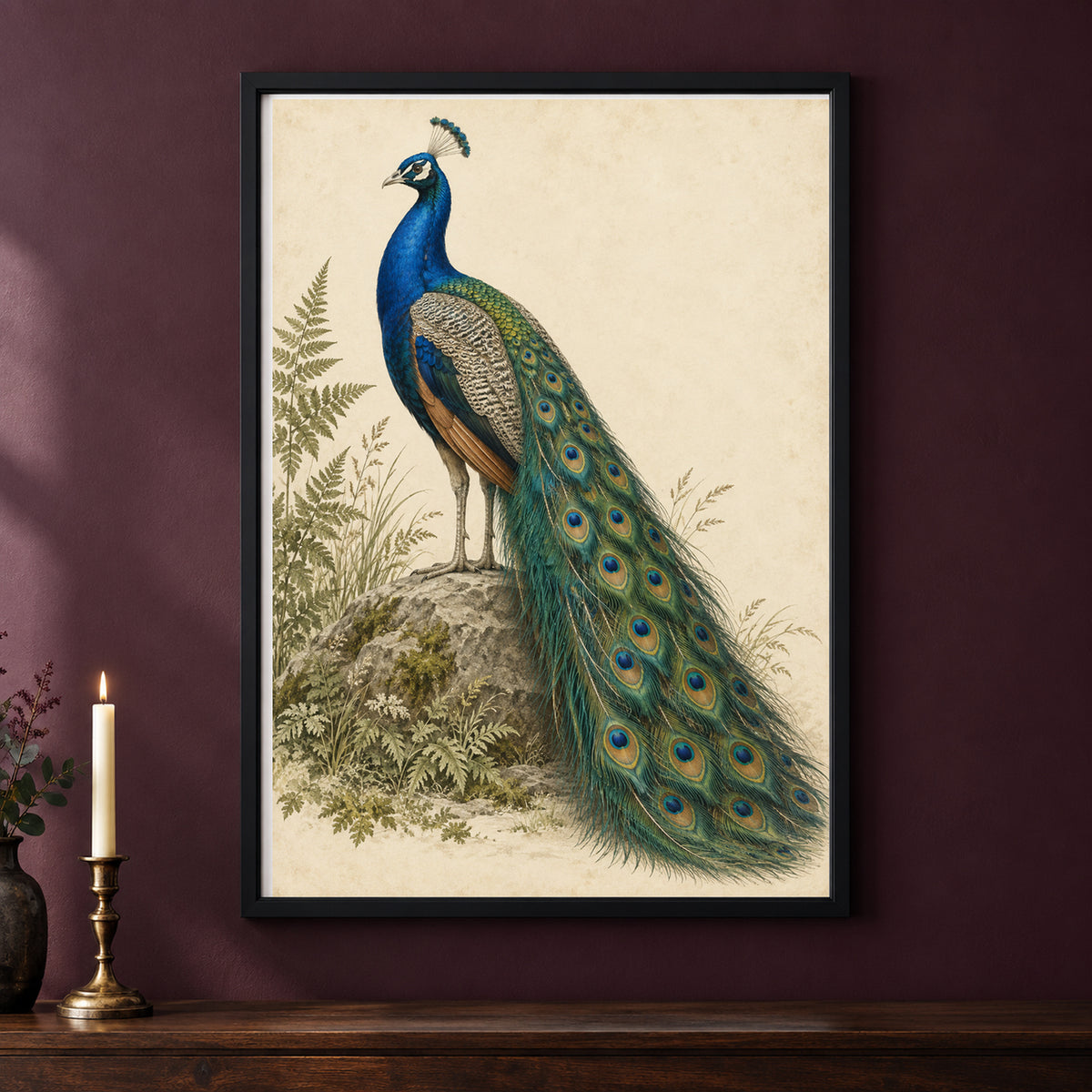 Peacock After Dark – Vintage Bird Print framed on a dark wall