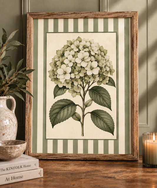 Sage Stripe Hydrangea Botanical Print in wooden frame